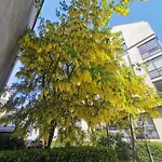 80 Square Metre Flat In The Heart Of - 2 Big Bedrooms * Bergen