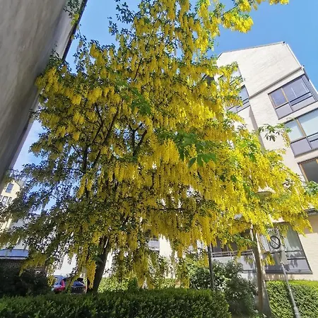 80 Square Metre Flat In The Heart Of - 2 Big Bedrooms * Берген